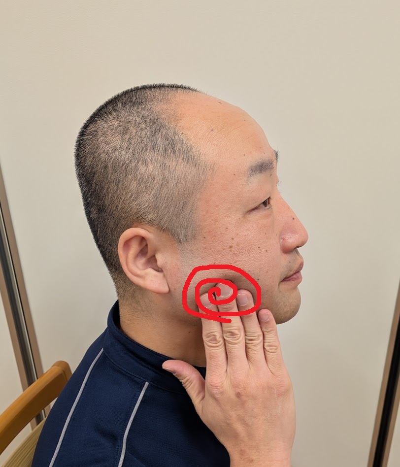 PXL_20260209_004502421.jpg 舌下腺マッサージ.jpg